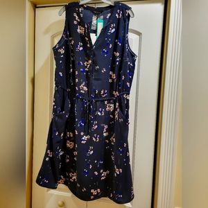 Hawthorn Sleeveless Claira Tie-Waist Dress